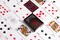 Bicycle Shin Lim Magic Special Edition Playing Cards, Poker Size Standard Index